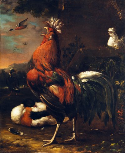 Gallo orgulloso de Jan van Oolen